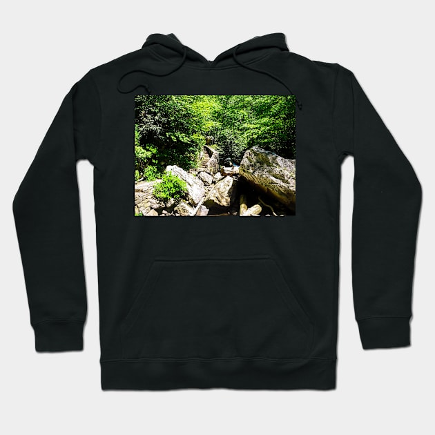 A Climb In The Woods Hoodie by PaulLu